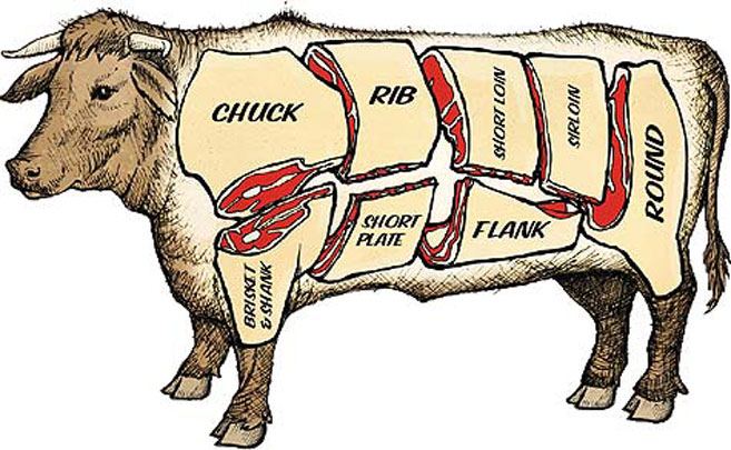 Cow illustration showing parts of beef
