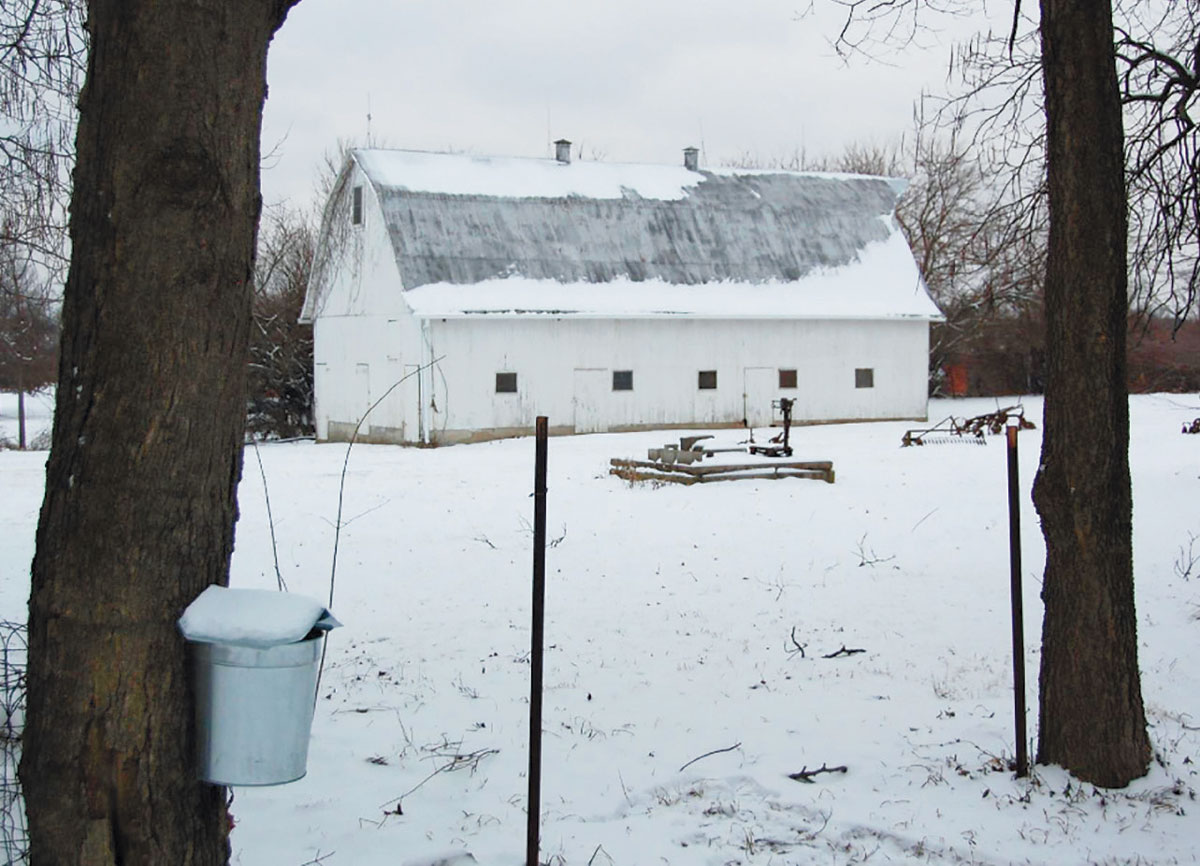 snow covered land and barn