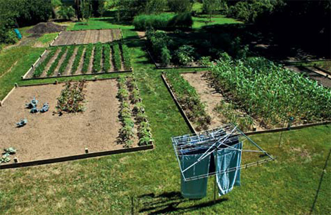 garden plots for farming