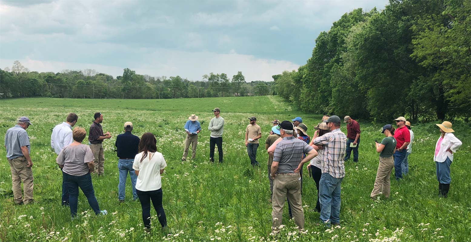 Farmers at an organic field day discuss practices to improve soil health and increase nutrient density in crops.