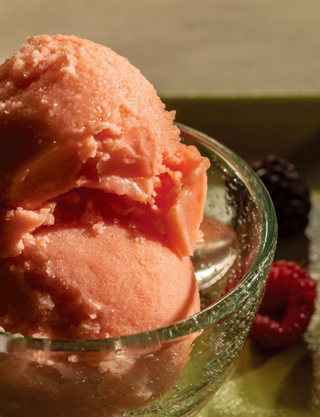 Peach Sorbet Recipe | Edible Louisville