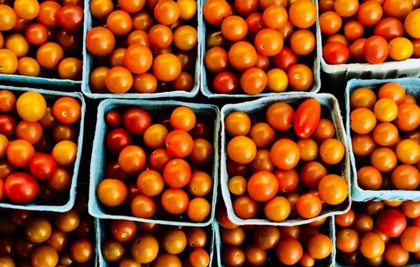 Tomato Day at St. Matthews Farmers' Market