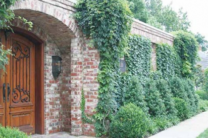 vine covered building with big wooden door
