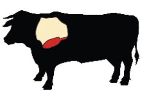 beef chuck cow illustration