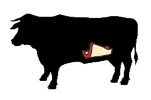 beef flank cow illustration