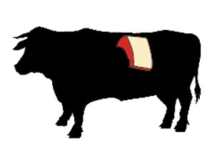 beef short loin cow illustration