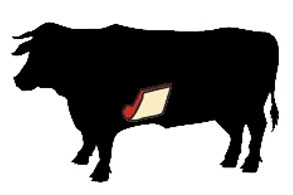 beef short plate cow illustration