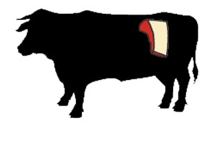 beef sirloin cow illustration