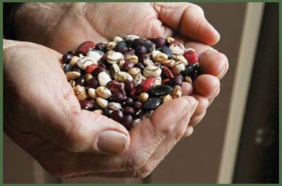 handful of different varieties of dried beans