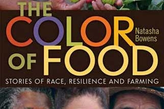 The Color of Food