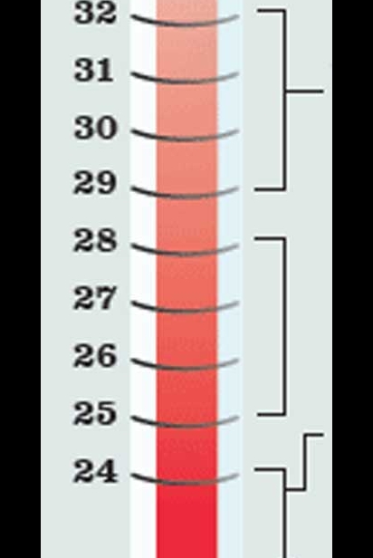 Fahrenheit Thermometer