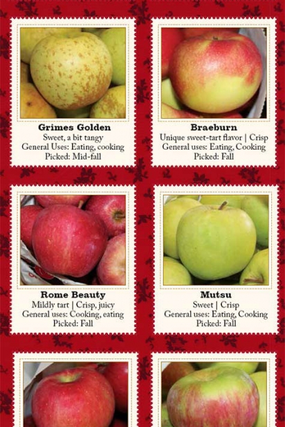 types of apples
