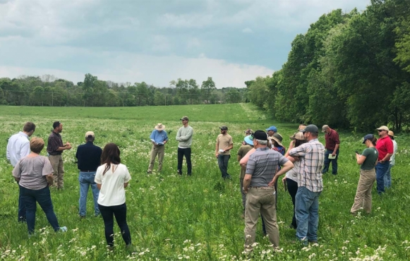 Farmers at an organic field day discuss practices to improve soil health and increase nutrient density in crops.
